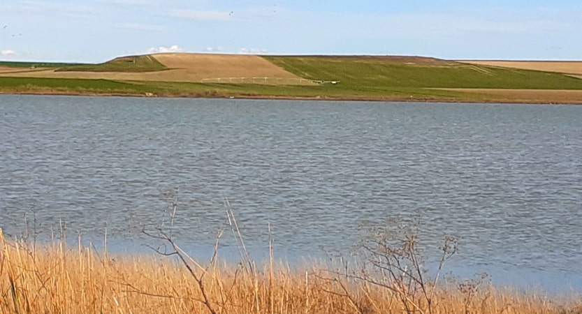 iberianstyle laguna alba