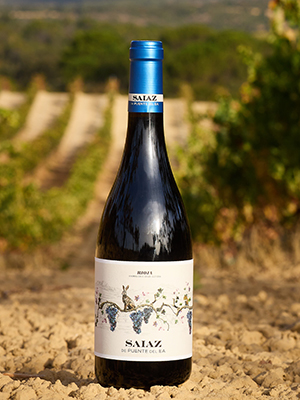 & // Bodegas Puente del Ea, Sajazarra, (La Rioja), Spain Photo by James Sturcke | sturcke org