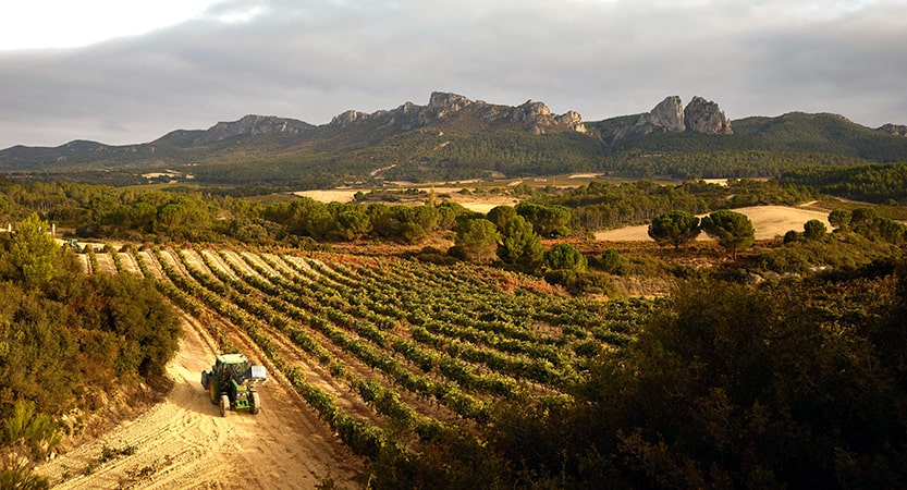 iberianstyle RIOJA ALTA PUENTE DEL EA