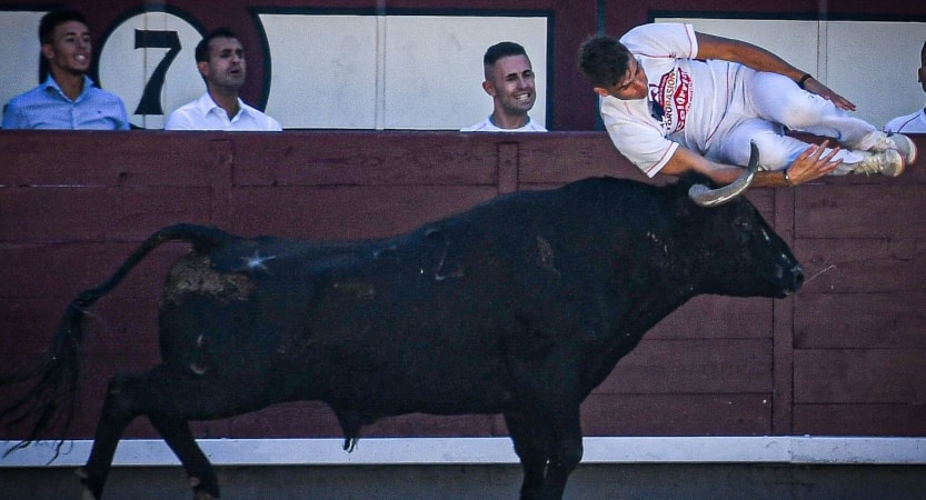 iberianstyle Recortando por la vida