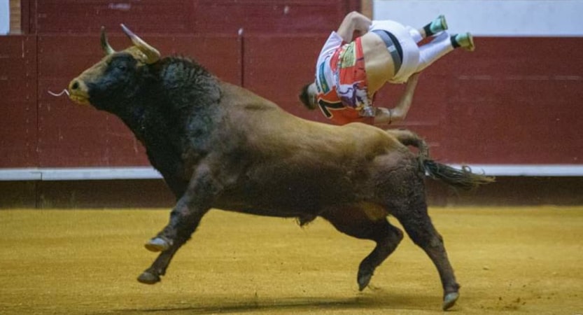 iberianstyle Recortando por la vida