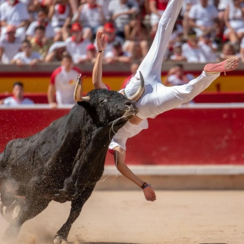 iberianstyle Recortando por la vida
