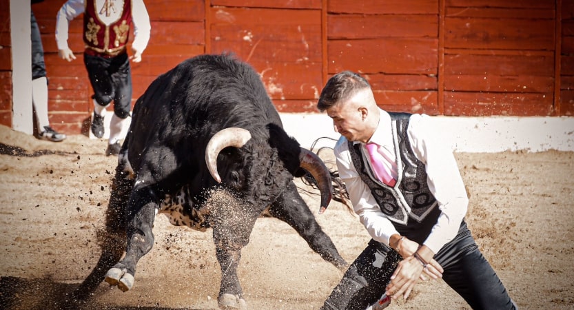 iberianstyle Recortando por la vida