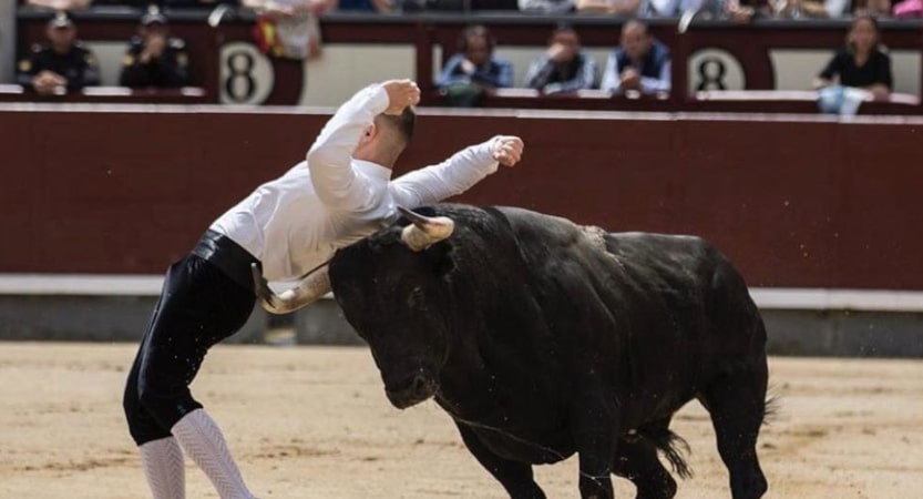 iberianstyle Recortando por la vida