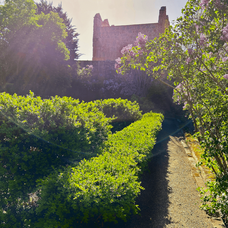 iberianstyle Javier de Winthuysen Lilas min