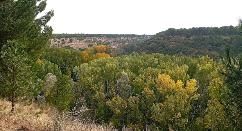 iberianstyle Ribera de los Alisos
