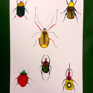 Litografía Sena Cifuentes Bichofrutas