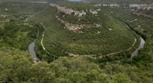 Lee más sobre el artículo El Nuevo Pulso de la Tierra: Radiografía del Neorruralismo Crítico Ibérico