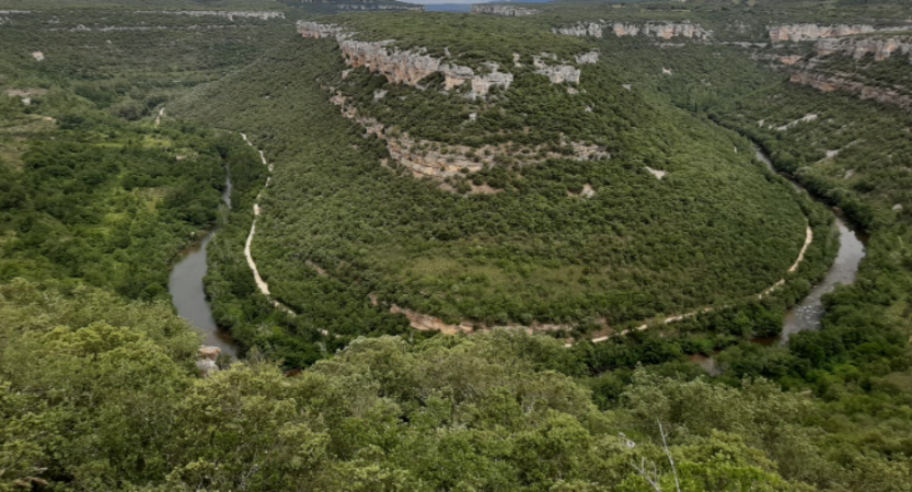 Lee más sobre el artículo El Nuevo Pulso de la Tierra: Radiografía del Neorruralismo Crítico Ibérico